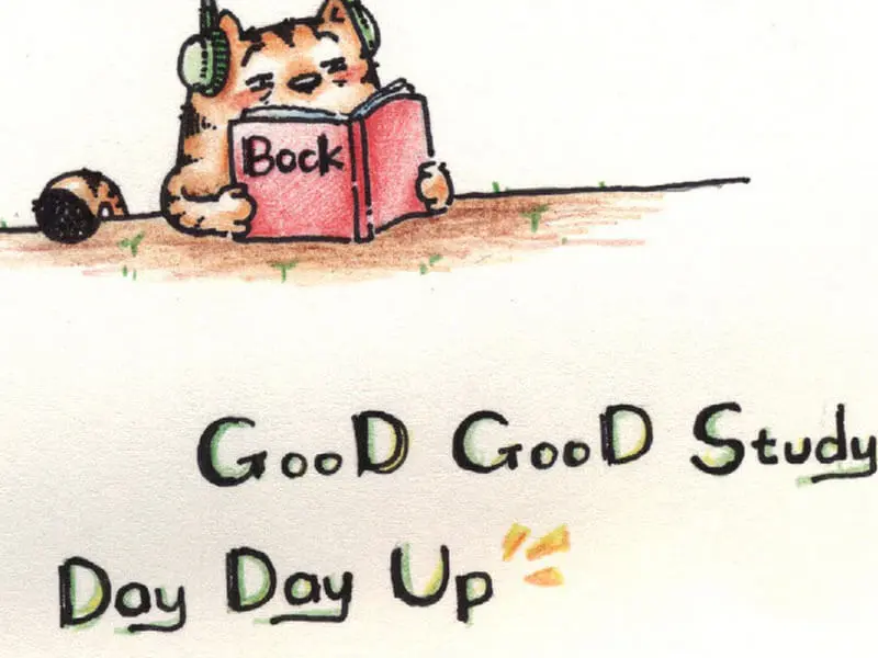 Good Good Study, Day Day Up
